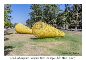 Semillas Sculptures