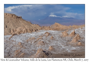 View & Licancabur Volcano