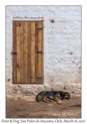Door & Dog