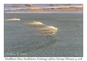 Windblown Wave