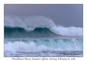 Windblown Waves