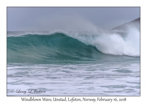 Windblown Wave