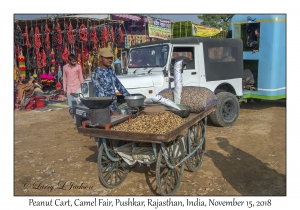 Peanut Cart
