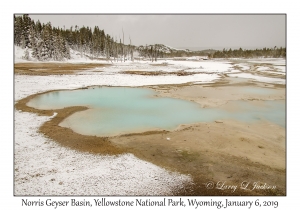 Norris Geyser Basin