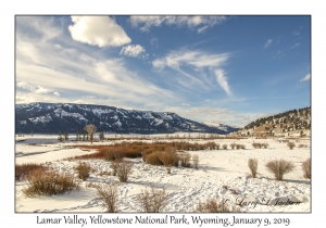 Lamar Valley