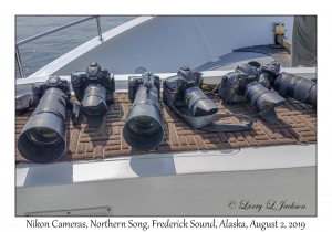 Nikon Cameras