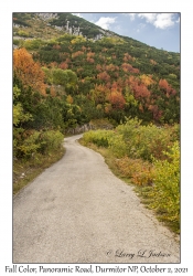 Panoramic Road & Fall Color