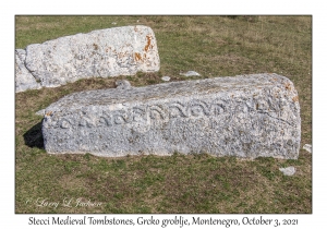 Stecci Medieval Tombstones