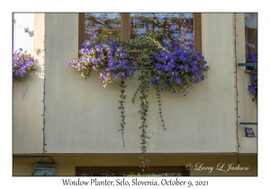 Window Planter