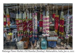 Matunga Flower Market