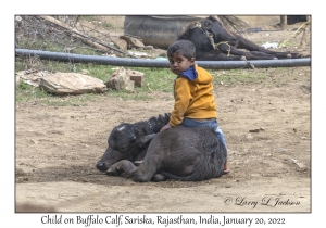 Child on Buffalo Calf