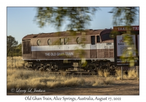Old Ghan Train