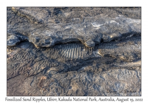 Fossilized Ripples