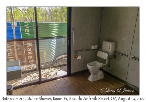 Bathroom & Outdoor Shower