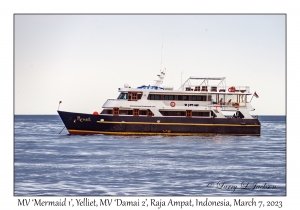 MV 'Mermaid 1'