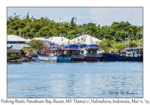 Fishing Boats