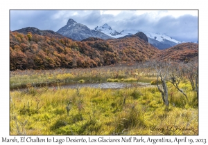 2023-04-19#7812 Marsh, El Chalten to Lago Desierto, Los Glaciares NP, Argentina
