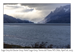 Lago Grey & Glaciar Grey