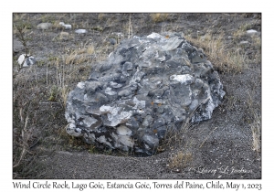 Wind Circle Conglomerate Rock