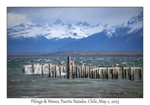 Pilings & Waves