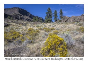 Steamboat Rock