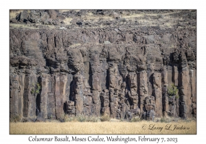 Columnar Basalt