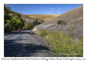 Red Car, Sunflowers & Wind Turbines