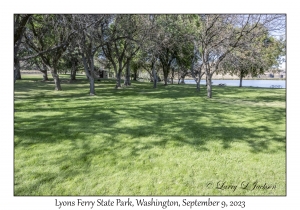 Lyons Ferry State Park