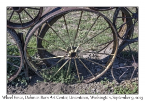 Wheel Fence