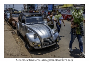 Citroens