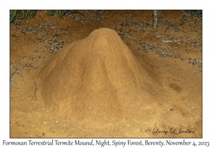 Formosan Terrestrial Termite Mound