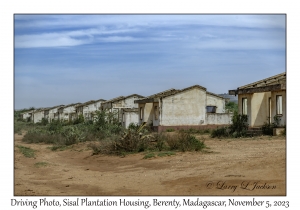 Sisal Plantation housing