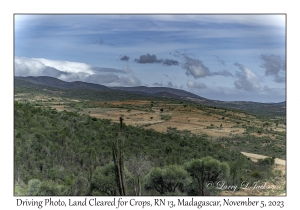 Land Cleared for Crops