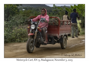 Motorcycle Cart