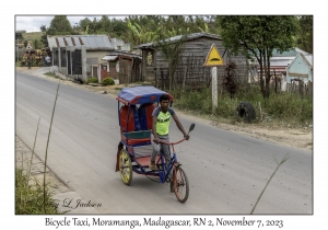 Bicycle Taxi