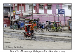 Bicycle Taxis