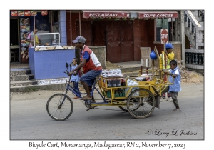 Bicycle Cart