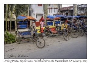 Bicycle Taxis
