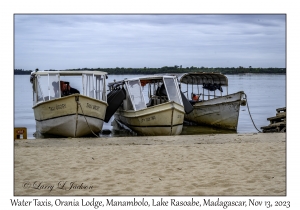 Water Taxis