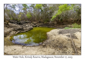 Water Hole