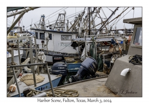 Harbor Scene