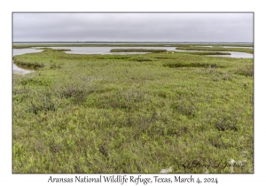 Aransas National Wildlife Refuge