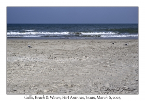 2024-03-06#2011 Beach, Port Aransas, Texas