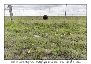 2024-03-07#2086 Barbed Wire, Hwy 183, Refugio to Goliad, Texas