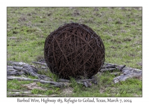 2024-03-07#2087 Barbed Wire, Hwy 183, Refugio to Goliad, Texas