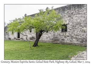 2024-03-07#2154 Granary, Mission Espiritu Santo, Goliad State Park, Hwy 183, Goliad, Texas (1)