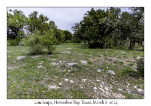 2024-03-08#2215 Landscape, Horseshoe Bay, Texas