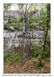 Puerto de Orion Trail