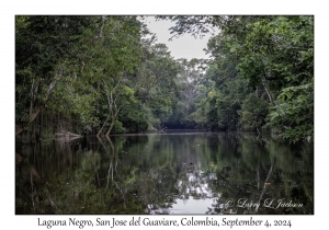 Laguna Negro