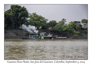 Guaviare River